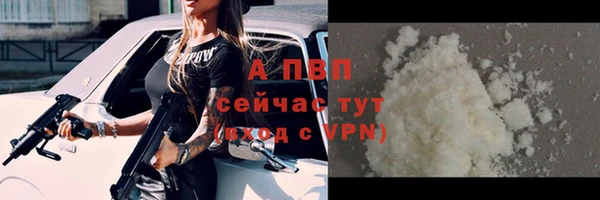 первитин Богданович