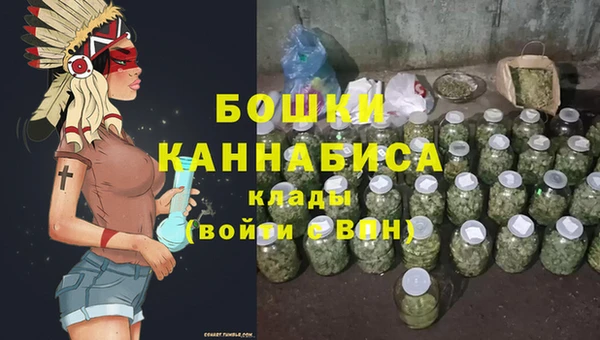 первитин Богданович
