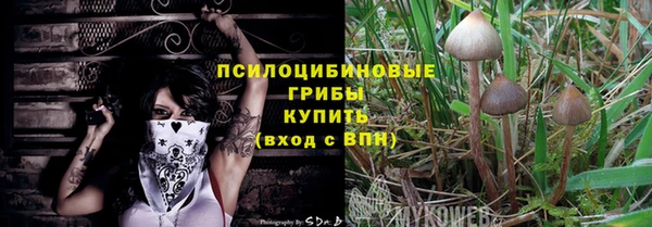 молекула духа Дедовск