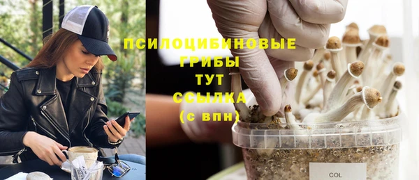 кристаллы Богородск