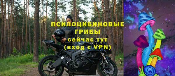 молекула духа Данков